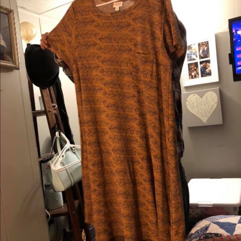 Lularoe Carley 2x